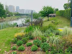 -府河摄影公园