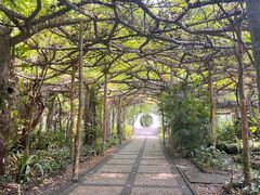 -广西壮族自治区药用植物园