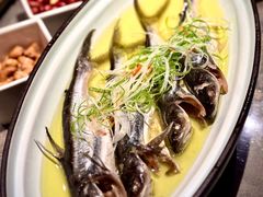 清蒸白油巴扎郎-酝· 大师滇菜(公园1903店)