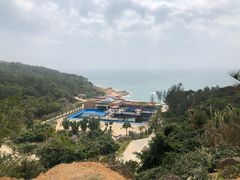 -广东惠东海龟国家级自然保护区
