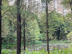-广州珠江公园