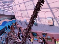 -陕西自然博物馆