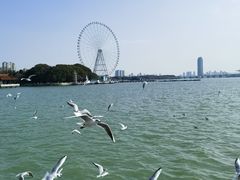 -无锡蠡湖国家湿地公园-蠡园