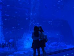 -南昌融创海世界