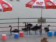 -艾溪湖湿地公园