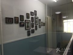 -中农大我爱我爱24h动物医院·中医针灸·猫专科·骨科医疗中心(双井店)
