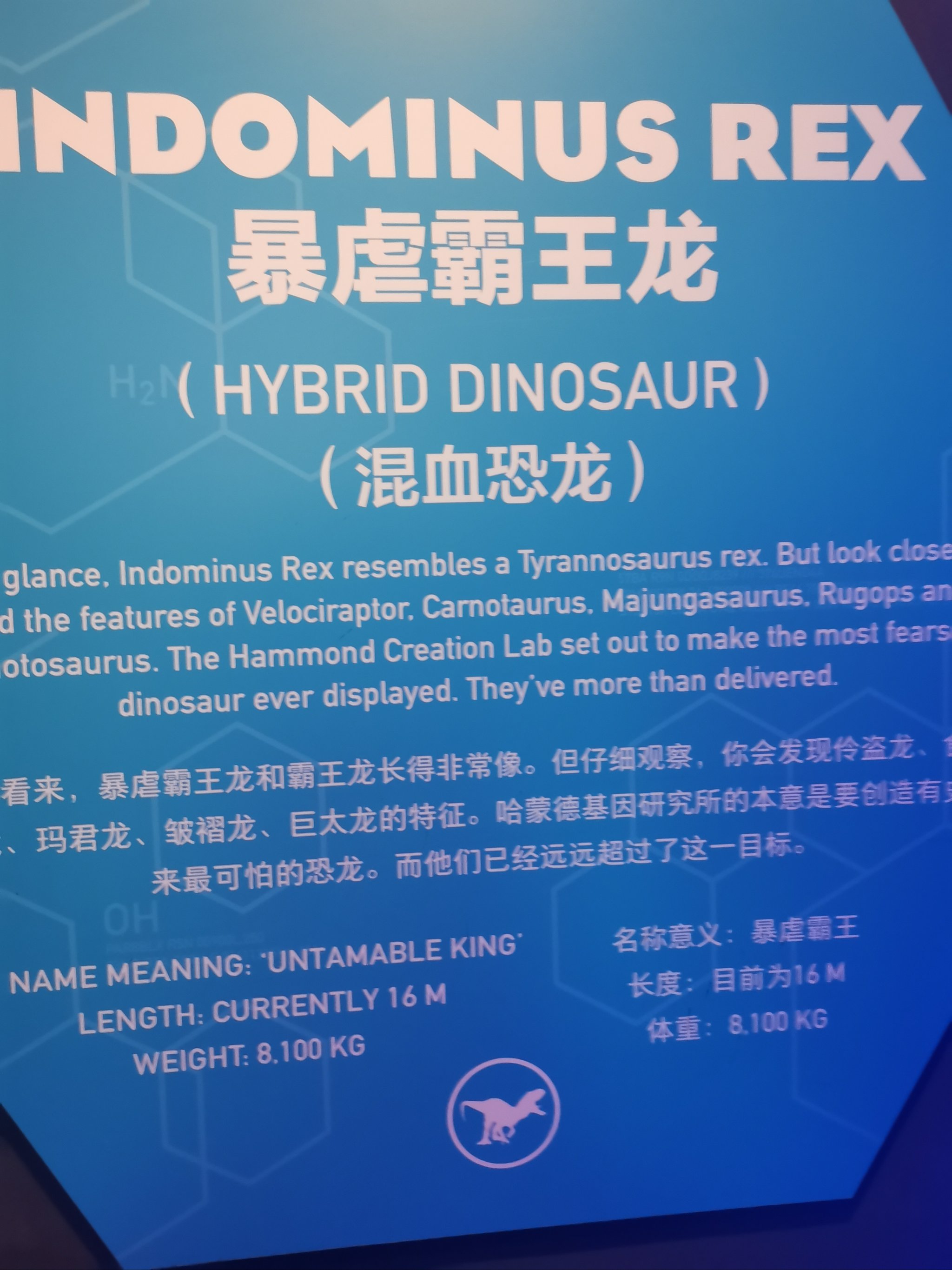 超级龙的特点:从外貌到能力