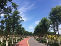 -天津东丽湖风景区