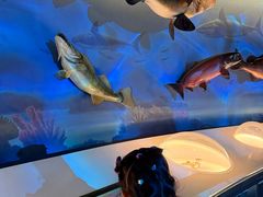 -陕西自然博物馆