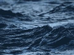 -全家便利店(花园路店)