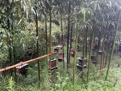 -会稽山峡洞漂流-上青古道