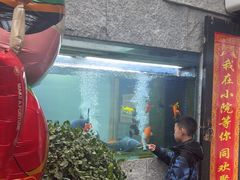 -又见炊烟私房菜(敬亭路店)