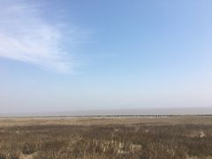 -南汇嘴观海公园