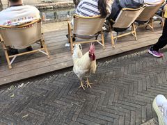-春风习习