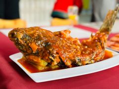 -立城苑小金星幼儿园