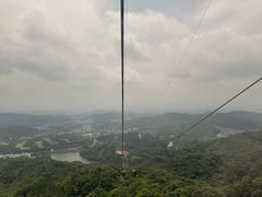 -清水湖度假村(罗浮山美食地标店)