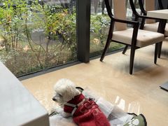 -拾溪餐厅(杭州千禧度假酒店)