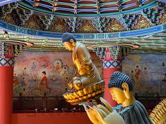 -上海东林寺(金山区)