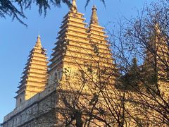 -北京石刻艺术博物馆(五塔寺)