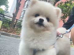 -宠颐生动物医院·小陆分院