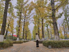 -百林公园-两江幸福广场