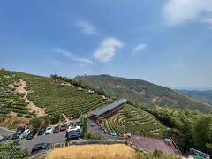 -长沙黑麋峰国家森林公园