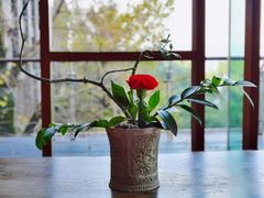 大堂-逸廊大堂吧-下午茶·简餐-千岛湖自由洲际殿