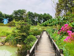 -铁山坪森林公园