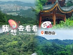 -阳台山森林公园