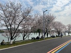 -羊山湖公园