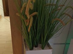 -汤悦温泉汗蒸馆(北京旗舰店)