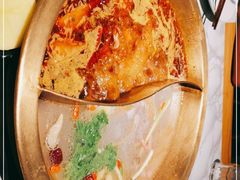 -杨家火锅(国美店)