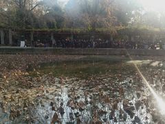 -四川大学(华西校区)