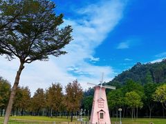 -顺峰山公园