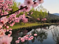 -石塘人家