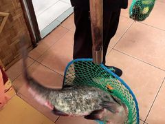 -大鹅岛灶台鱼·铁锅炖(水库路店)