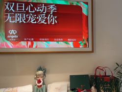 -安吉拉青春化管理中心