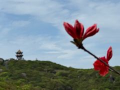 -大围山国家森林公园