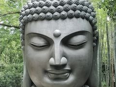 -杭州植物园