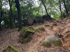 -火炉山森林公园