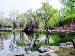 -圆明园遗址公园-藻园门售票处