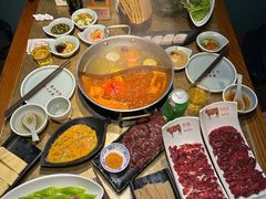 -手选潮汕鲜活牛肉火锅(二七广场店)