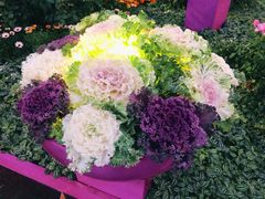 -人民公园(罗湖区)