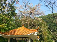 -火炉山森林公园