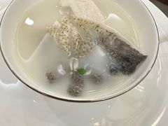 -天目馨缘