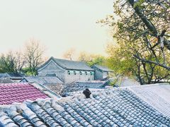 -EATALIA意塔利意式餐厅(鼓楼店)