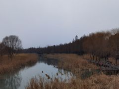 -苏州太湖湖滨国家湿地公园