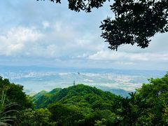 -梧桐山风景名胜区