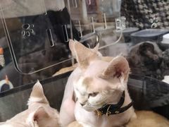 -中粮·祥云小镇