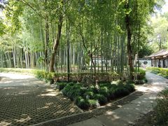-兰亭风景区